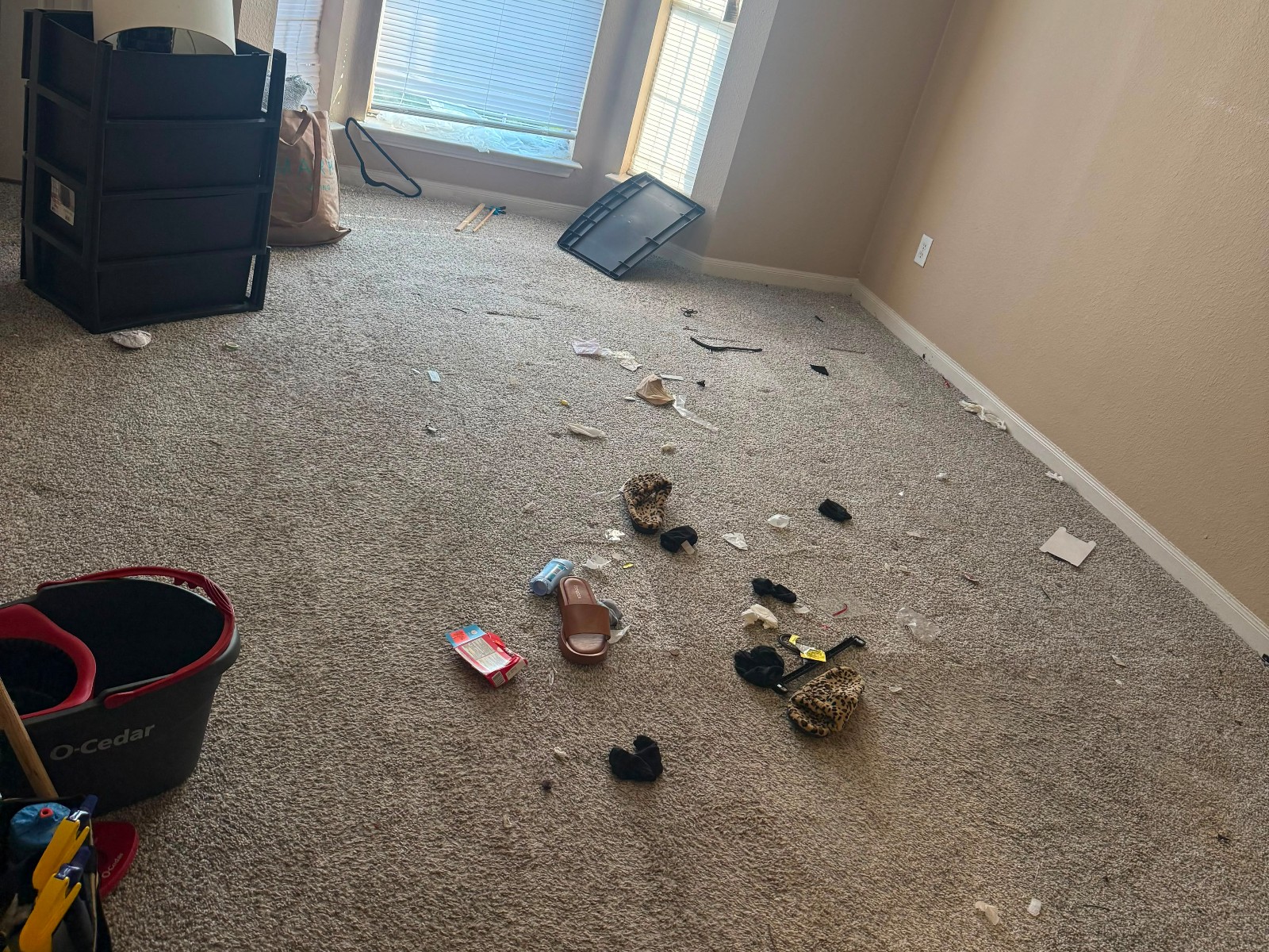 Bedroom carpet littered with debris before cleaning