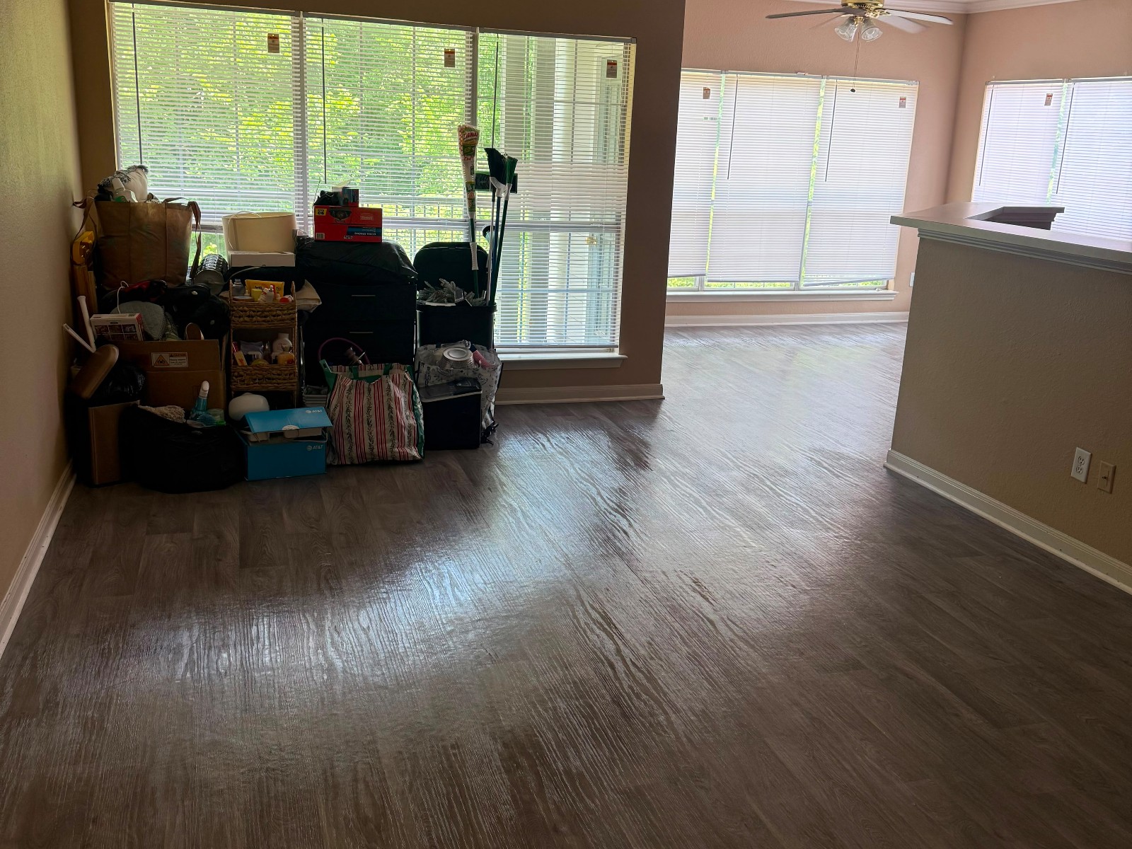 Gleaming living room floor after cleaning